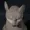 PhatChristian's icon