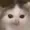 KhemeXz's icon