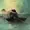 gliitterbomb's icon