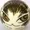 yoyiiittt's icon