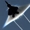 DJ-Clearwater's icon