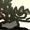 lebronbonOnNG's icon
