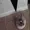 thebindingofmango's icon