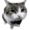 KevinJMusic's icon