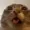 SuomiKJGaming's icon