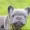 BurgerEater321's icon