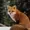dedektiffix's icon