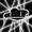 cloud6211's icon