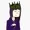 EvilPlaid's icon