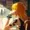 Unicaisagc's icon
