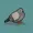 YorchMedia's icon