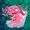 NichiGarden's icon