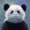 DaSpacePanda's icon