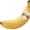 hiyoko-in-a-banana's icon