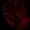 NUB-Anime's icon