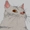 SopaRascunhos's icon