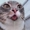 H3plll's icon