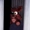 rockysisacoolgui's icon