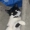 ethancatastrophe's icon