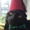 pixelpioy's icon