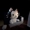 ZeldaHZ's icon