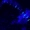 ophryocystis's icon