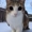 Haroun2207's icon