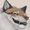 Valiberite's icon