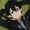 Kirito92Sh's icon