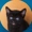 DaliFV's icon