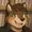 nikopunksuperlink's icon
