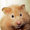 jacklehamster's icon