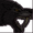 ShadowChimera1390's icon