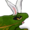 bunnyfrog's icon