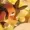 Sonictrainer's icon