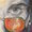 Gatoblepas's icon