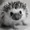 SardonicHedgehog's icon