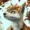 Here2Express's icon
