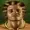 xalnion's icon