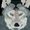 WolfTurd's icon