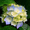 RoseDay's icon