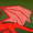 DragonPrince1337's icon