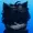 Matygoo's icon