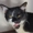 P2R2daMan's icon