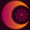 Moon-Shine's icon