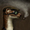 bungweasel's icon