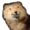 LionFangX's icon