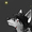 shadowtxdog's icon