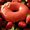 StrawberryDonutKing's icon