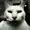 TYLARTHEGAYHOMO69's icon
